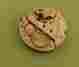 1194 1187 94 10.5 Watch Movement As Mechanical For Parts Repair P02