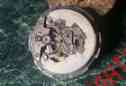 11ew1 A20 Wittnauer Electro-chron Vintage Movement