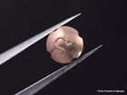 4acf1 12 Original Notched Pink Omega . Crown Vintage Seamaster 210