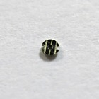 1555-5093 1555 Calendar Rolex Nut - Caliber Wheel Part Genuine