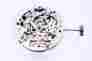 2196 Unbranded New Chinese Skeleton Automatic Watch Movement