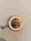 289a2 Eta Unmarked Movement Running For Parts Or Repair