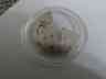 3035-5062 Rolex Framework Automatic Reference 503 Device Used