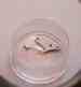 3135-230 Setting Lever Part Genuine Rolex Jumper