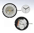 515.2 515 Ronda Harley Quartz Date At Watch Movement Hand Height