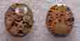5638581 Tissot Watch Movement Swiss Made