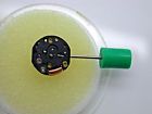 591570 Hamilton Set Cap Spring