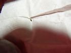 59504 Lecoultre 497 Genuine Part