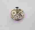 6n7g Wittnauer Vintage Ladies Wristwatch Movement 17 Jewel Swiss