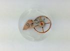 563-1030 752 751 Omega 563 Complete 750 Balance Assembly 565