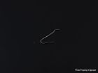 865-1752 Omega Vintage Original Bolt