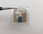 B2130-213 B2130-213- Y1 Rolex New Intermediate Crown Wheel Part For Caliber Original