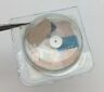B2130-305 B2130-305- Y1 Rolex Ratchet Wheel Part For Caliber Original