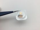 B2230-305-y1 Rolex New Ratchet Wheel Part For Caliber Original