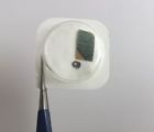 B3135-300-y1 Rolex New Click Part For Caliber Original