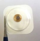 B3135-625-y1 Rolex Date Wheel Mounted Part Caliber Genuine