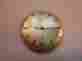 E1102 Wyler M27 Incaflex 17 Jewel Eta Movement