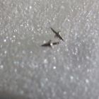 81junghans J Junghans Mens Watch