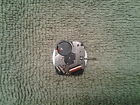 5y23a Movement Auction Seiko 77 Watch