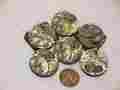 Q-649 Elgin 6 Vintage 7j 4 0s Or 5 Watch Movements Parts Repair Steampunk
