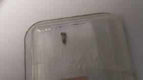 2035 Rolex 4512 Original Cannon Pinion Sealed New Package For Watch Repair