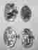 Sowl-6 Gruen Waltham Elgin Watch Movements For Repair Parts Lot