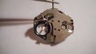 V500c Shio Shiri Watch Movement