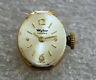 Wl123 Wyler Ladies Incaflex Watch Movement Runs And Keeps Time