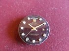 Y144a Rolex Rare Chocolate Diamonds