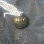 Nos Winding Crown Gold Tone "elgin" Top Of 305 C838 Flat. Fixed Price $12.00.