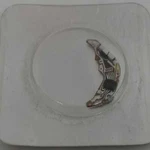 Vintage Esa 579.001 579001 Eta Circuit N.o.s.. Fixed Price $26.15.