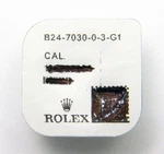 Brand New Genuine Rolex B24-7030-0-3-G1 Stainless Steel Watch Crown Case Tube. Fixed Price $200.00.