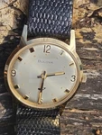 1970 Bulova Sea King Manual Wind N0 This Watch Exceptional Condition. Fixed Price $225.00.