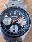 Citizen Bullhead Watch. Fixed Price $772.28.