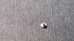 Zenith 135 730 Rollers - Watch Part For Repair. Fixed Price $25.00.