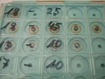 New Balance Wheel For Certina Movement 19-25 19-45 13-10. Fixed Price $28.00.