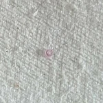 Omega Jewel Number 4214. Fixed Price $8.70.