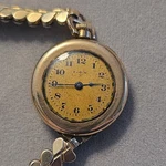 Elgin Ladies Wrist Pocket Watch Style 10/0 Gold Plated 15 Jewels Wadsworth Pilot. Fixed Price $38.00.