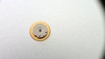 Genuine Rolex Caliber 3186-260-1 Minute Wheel New/open (new Version) Swiss Made. Fixed Price $95.00.