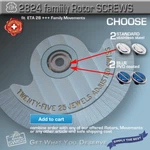 Rotor Screws For Movements Eta 2824 ++SW200 Family, St-st Blue. Fixed Price $19.00.