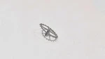 Zenith Watch PHC,3019 Movado 434 Escape Wheel Part 705. Fixed Price $77.36.