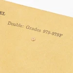Hamilton 349202 Watch Part Roller With Jewel Fits Double Grade 979-979F (G18D13). Fixed Price $19.99.