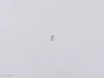 Vintage Bestfit Part For Bulova Accutron 218 #106 Center Tube. Fixed Price $19.95.
