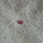 Omega Jewel Number 4228. Fixed Price $8.70.