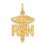 14K Yellow Gold Nurse Charm C432. Fixed Price $307.95.