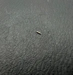 Genuine Rolex 3035 5017 Pallet Arbor. Fixed Price $55.99.