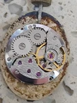 Vintage Eta 2412 Movement, With Dial & Hands Crown 17 Jewels Swiss Nos. Fixed Price $74.89.