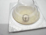 Genuine New Vintage Seiko CAL.24XXA Series Escape Wheel Pn 251-240 #548. Fixed Price $78.99.