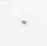2130-307 2135-307 Genuine Barrel Arbor For Rolex. Fixed Price $30.00.