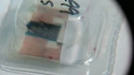 Genuine Rolex Caliber 2130 0913-2 Jewel, New, Per Order. Fixed Price $45.00.